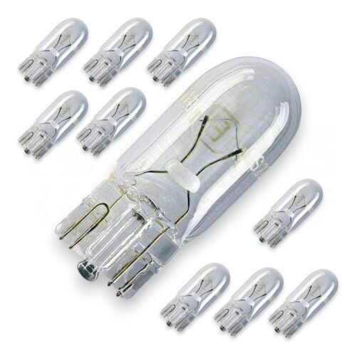 AMR3339 Defender 2W capless bulb 10 pack