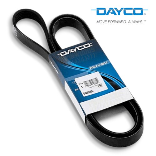 PQS101500D | Dayco Td5 Auxiliary Drive Belt (With AC, No ACE) – Defender & Discovery 2