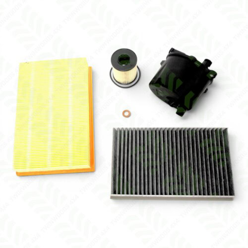SKT6038PR2 Freelander 2 2.2 TD4 service kit OE quality
