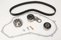 STC4096LG | 300TDI Timing Belt / Cambelt Kit – Dayco Belt & INA Bearings - Image 4